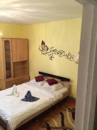 Studio Andu Brasov - 362