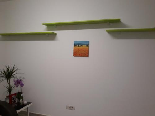 Studio Apartment - 586