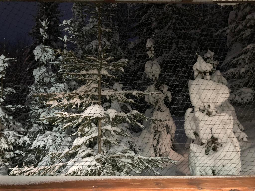 Studio Mirage@Snow Residence (ski & forest) - 312