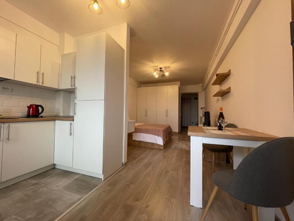 Studio Near Palas Mall - 117