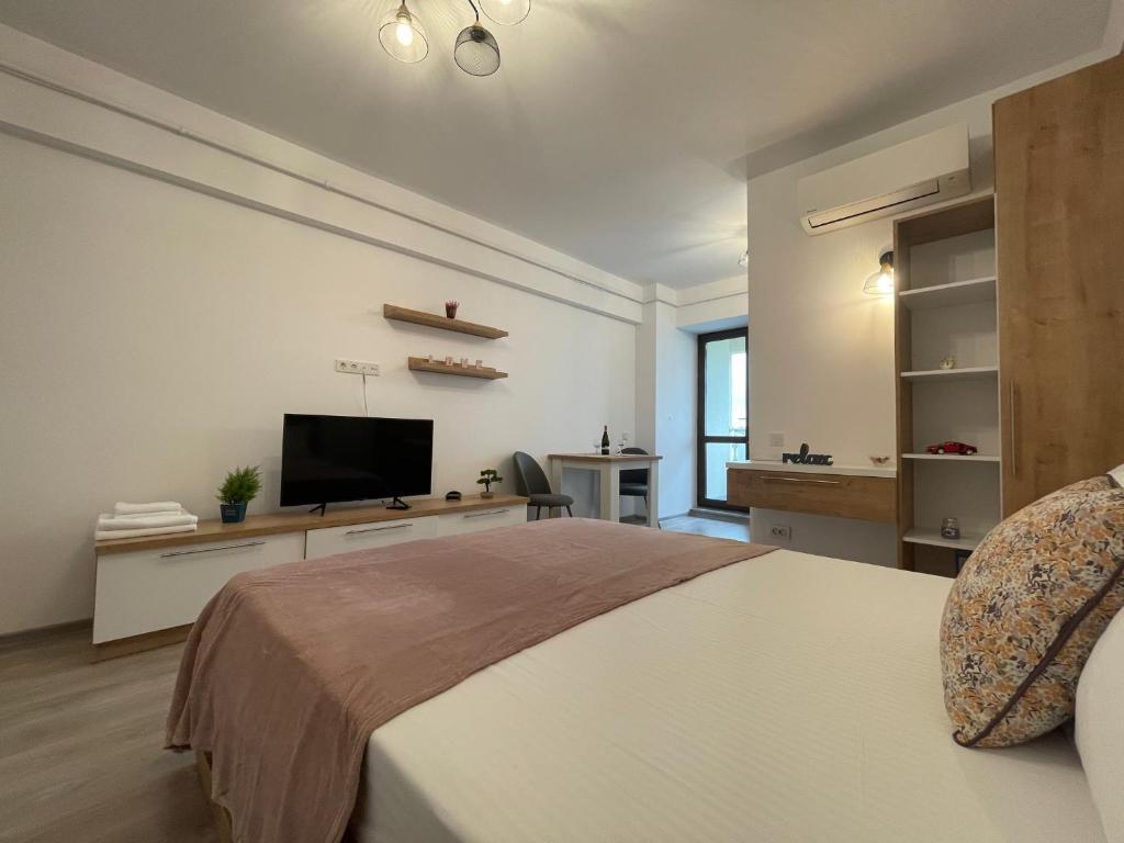 Studio Near Palas Mall - 800