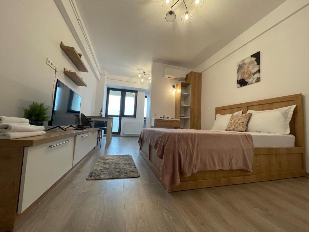 Studio Near Palas Mall - 311
