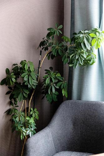 Stylish Studio Kronstadt - 593