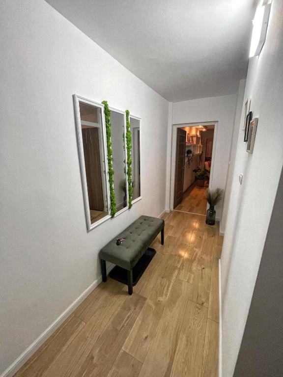 Subcetate Apartment - 522