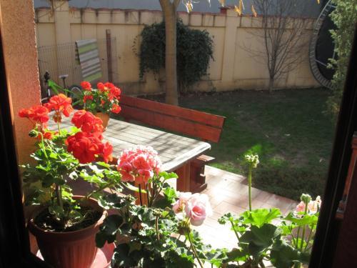 Swallows' Hostel - 176