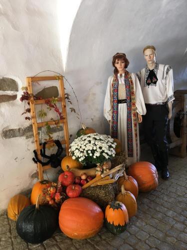 Taschler Haus Boutique - 772
