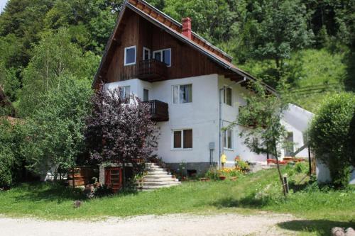 Teo Guesthouse - 227