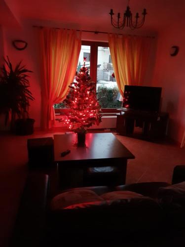 The Guesthouse - 724