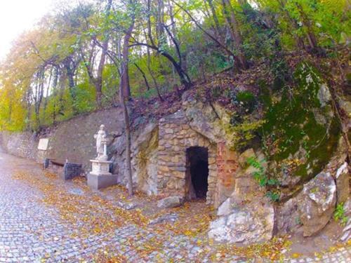Thermae D'Olimpia- Adults only 14+ - 10