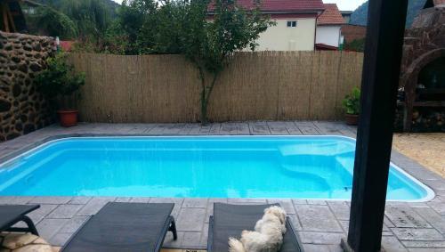 Thermae D'Olimpia- Adults only 14+ - 662