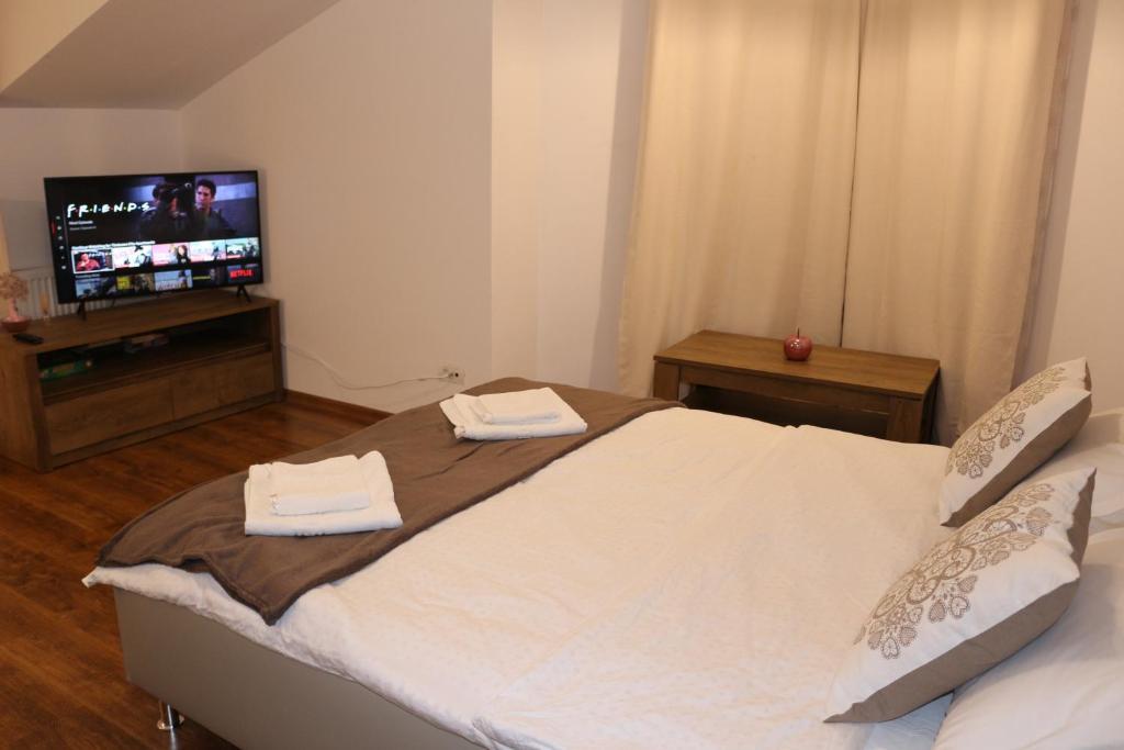 Timisoara City Apartments - 529