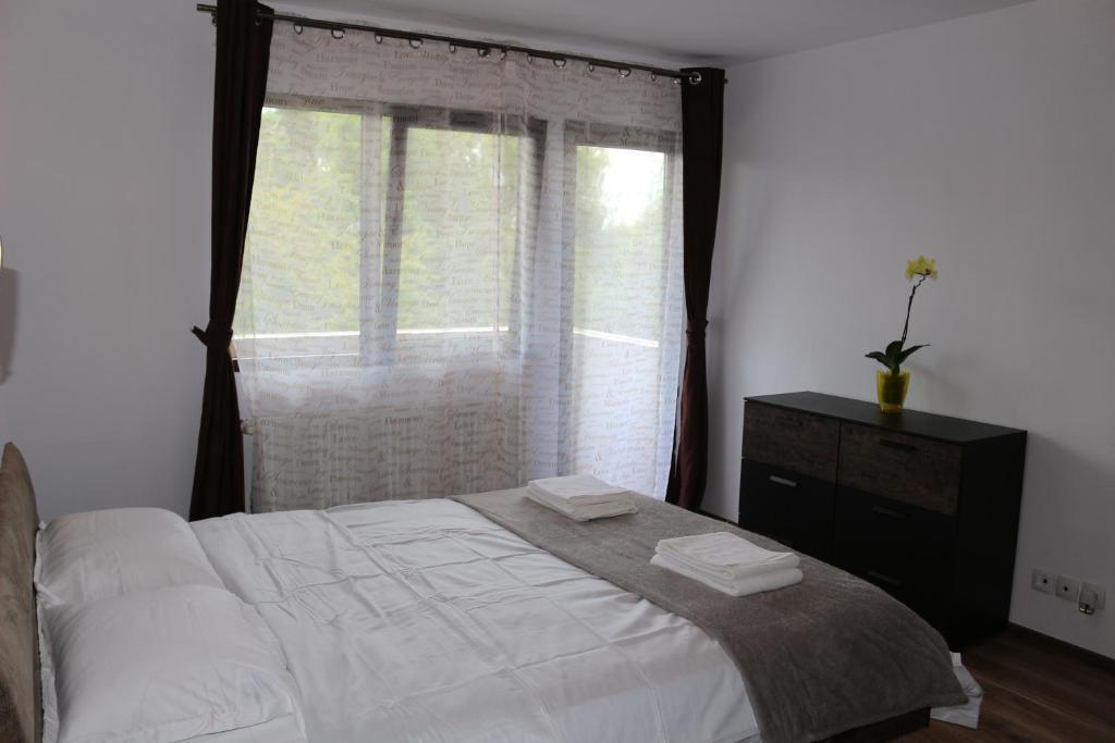 Timisoara City Apartments - 1