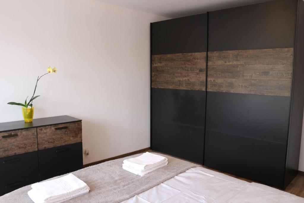 Timisoara City Apartments - 758