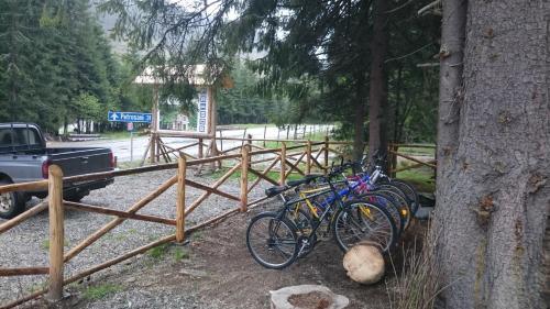Transalpina Lac - 454