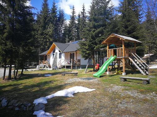 Transalpina Lac - 449
