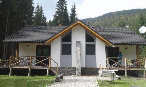 Transalpina Lac - 852