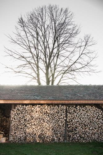 Transylvania Guesthouses - 920