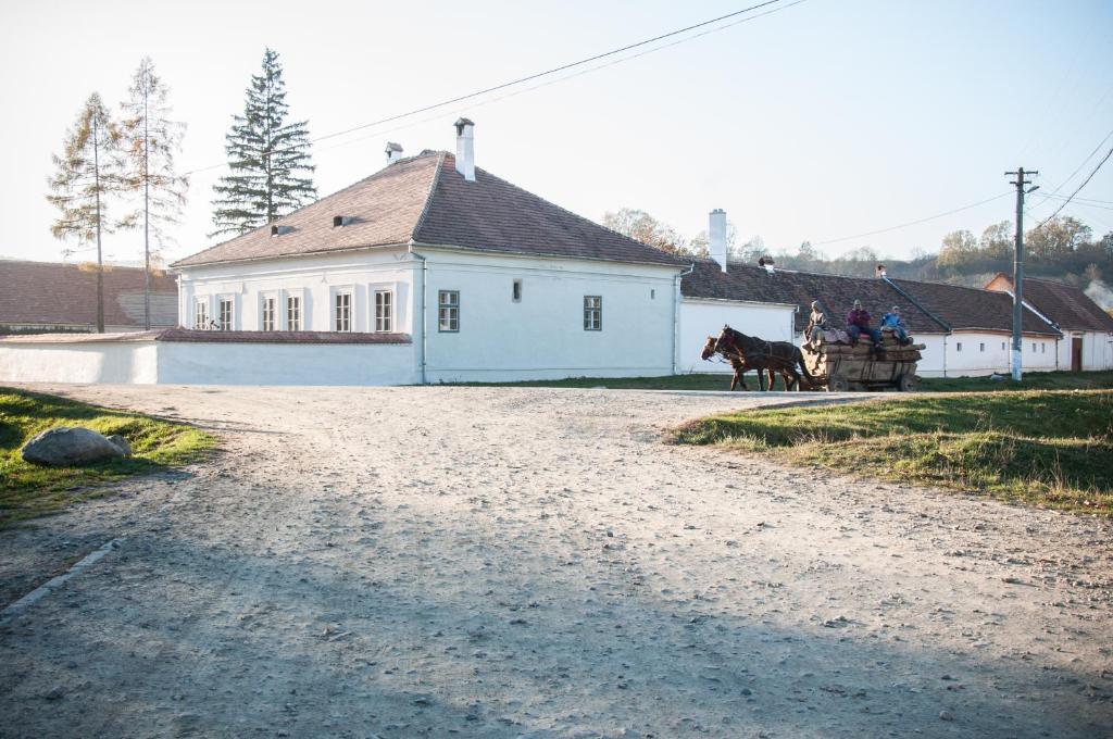 Transylvania Guesthouses - 678