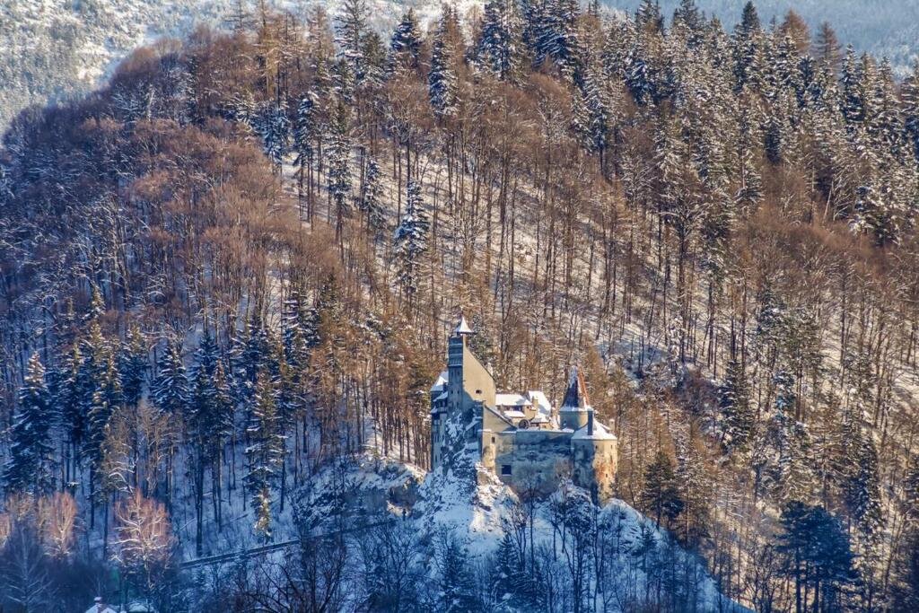 Transylvanian Inn - 498