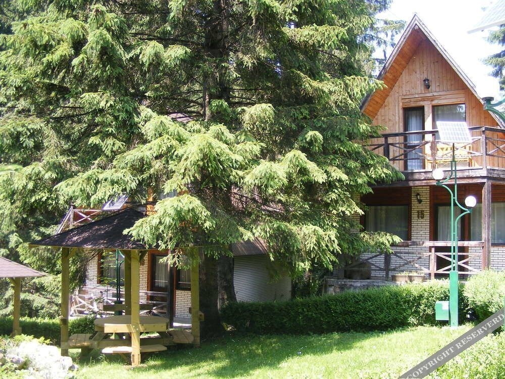 Traveland Butique Resort Poiana Brasov - 923