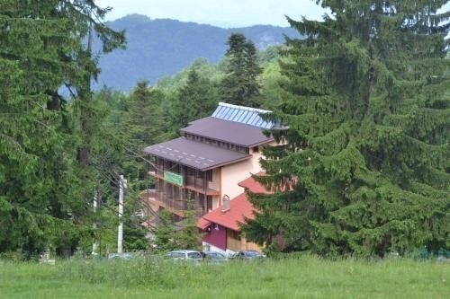Trei Brazi Bioterra - 336