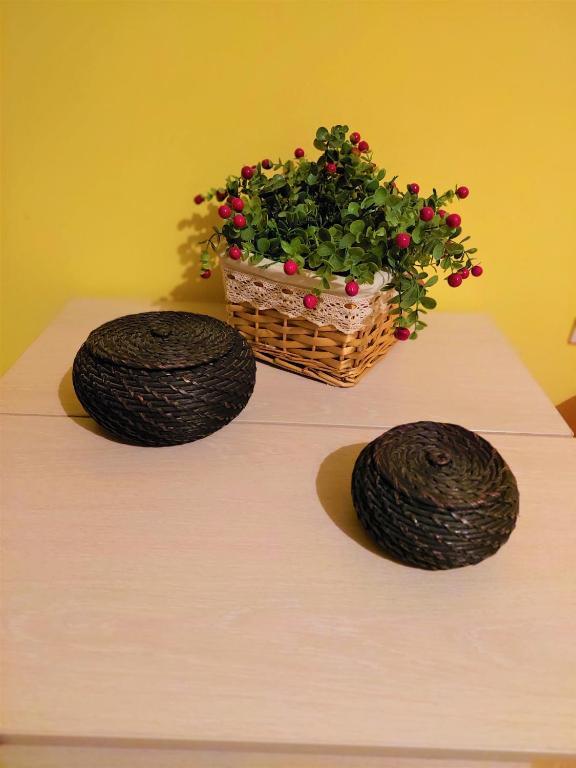 Tribunei Apartment Sibiu - 862