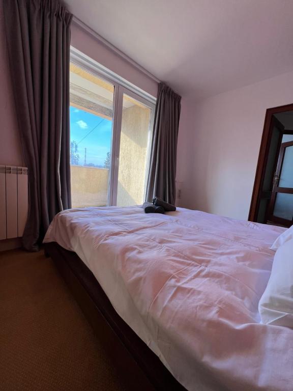 Ultimate Stay Lovely 3bed 2bath Apartment Suceava Ultra Central - 988