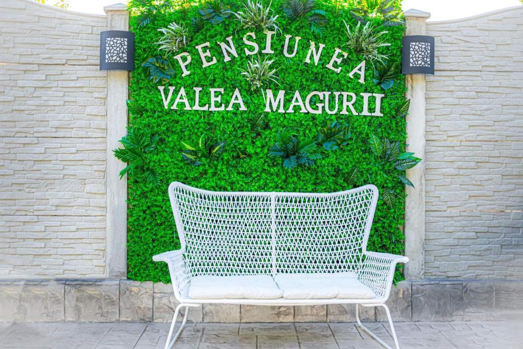 Pensiunea Valea Măgurii - 411