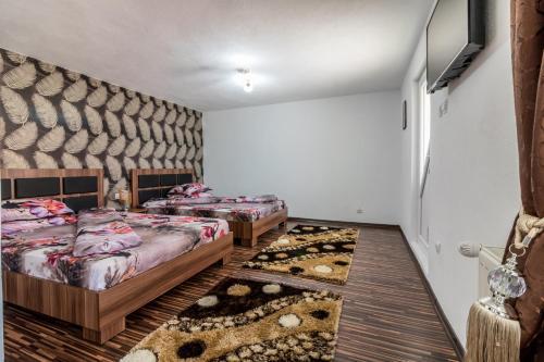 Pensiunea Valea Măgurii - 917