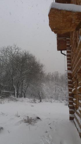 Valea Vistisoarei - 988