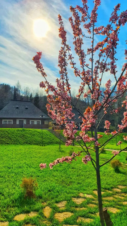Vatra Boiereasca - 14