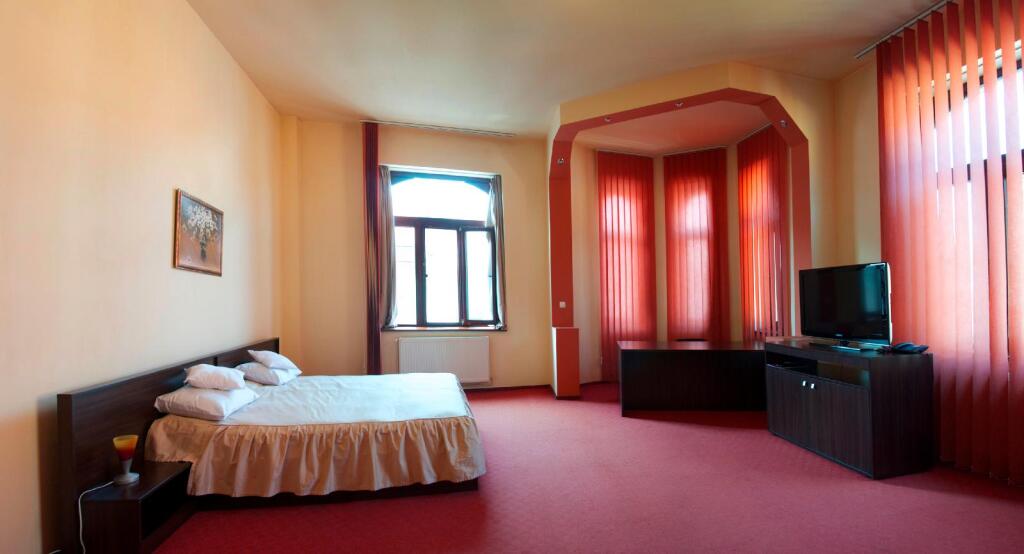 Victoria Hotel Timisoara - 991