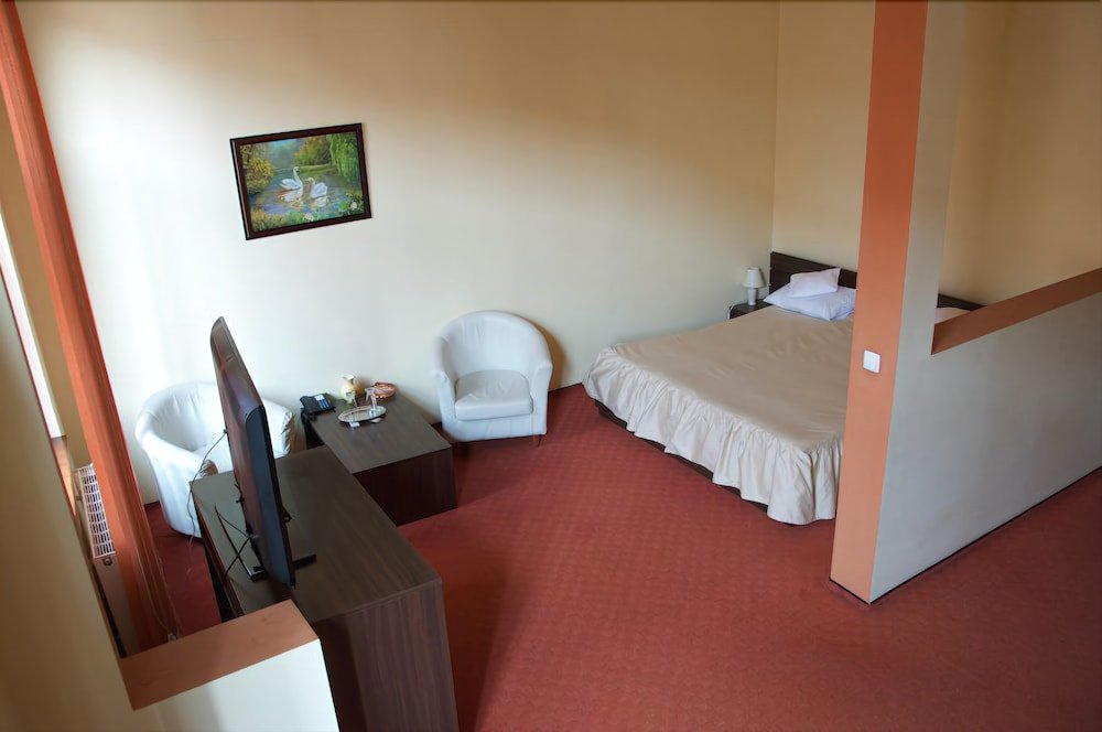 Victoria Hotel Timisoara - 691