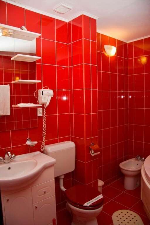Victoria Hotel Timisoara - 467