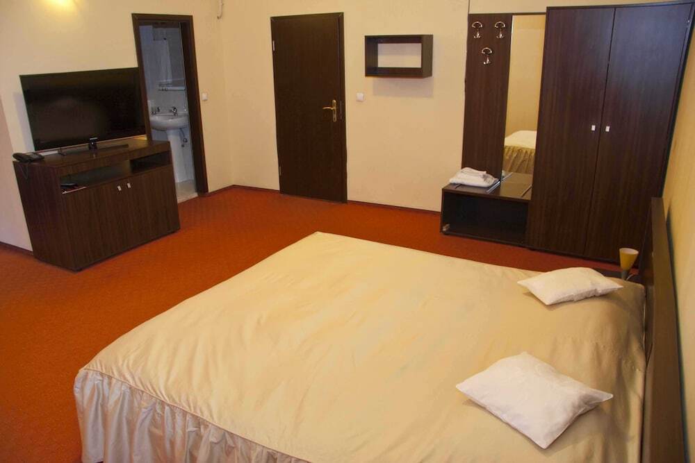 Victoria Hotel Timisoara - 424