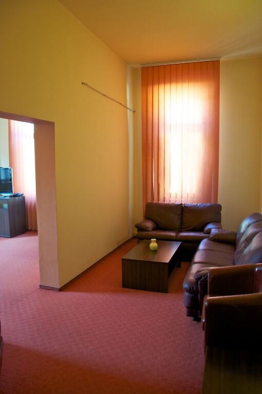 Victoria Hotel Timisoara - 919