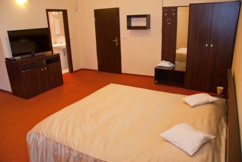 Victoria Hotel Timisoara - 320