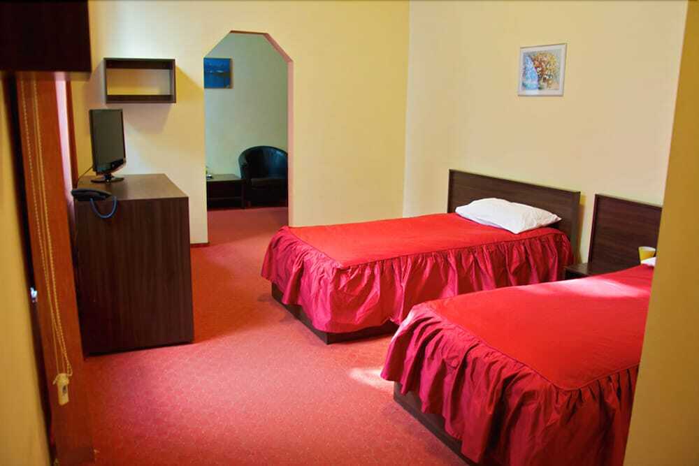 Victoria Hotel Timisoara - 891