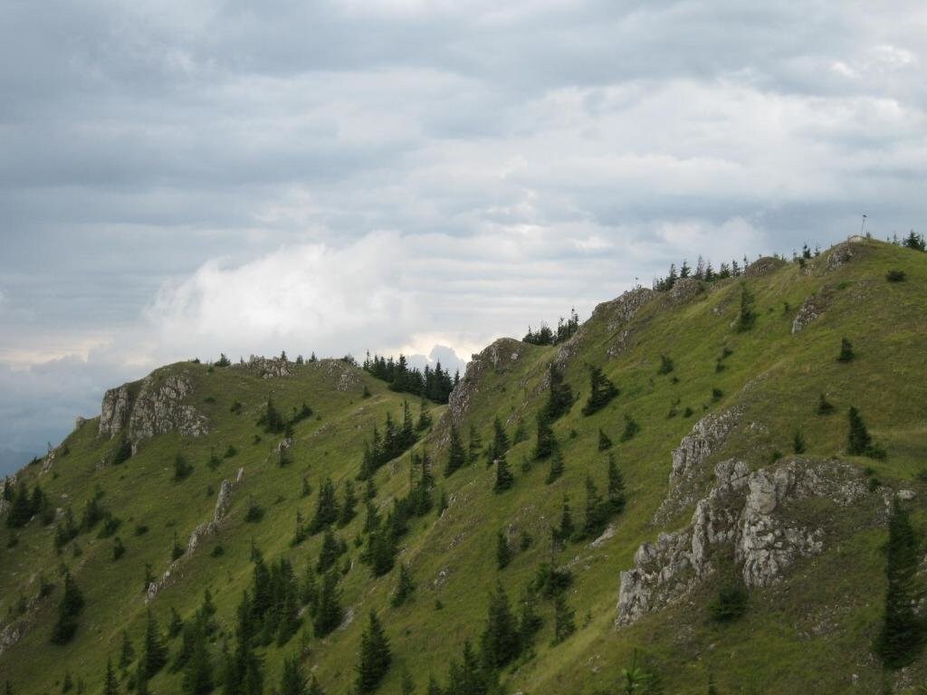 Vidra Park - 545