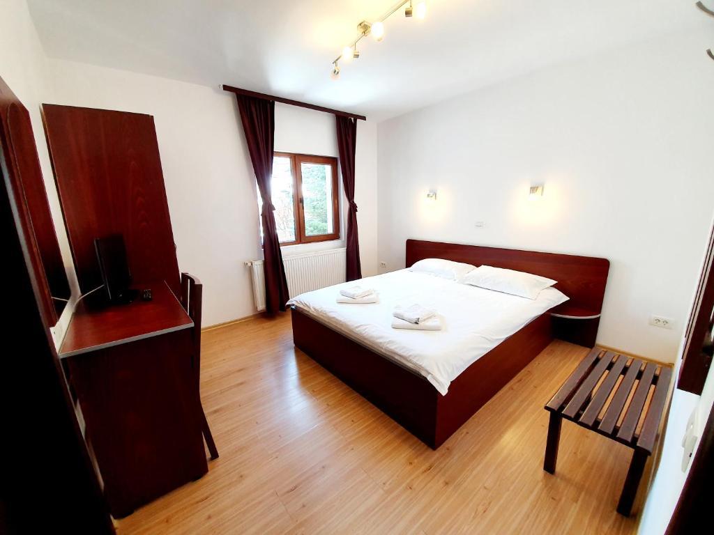 Vila de vacanta Alma Azuga - 66