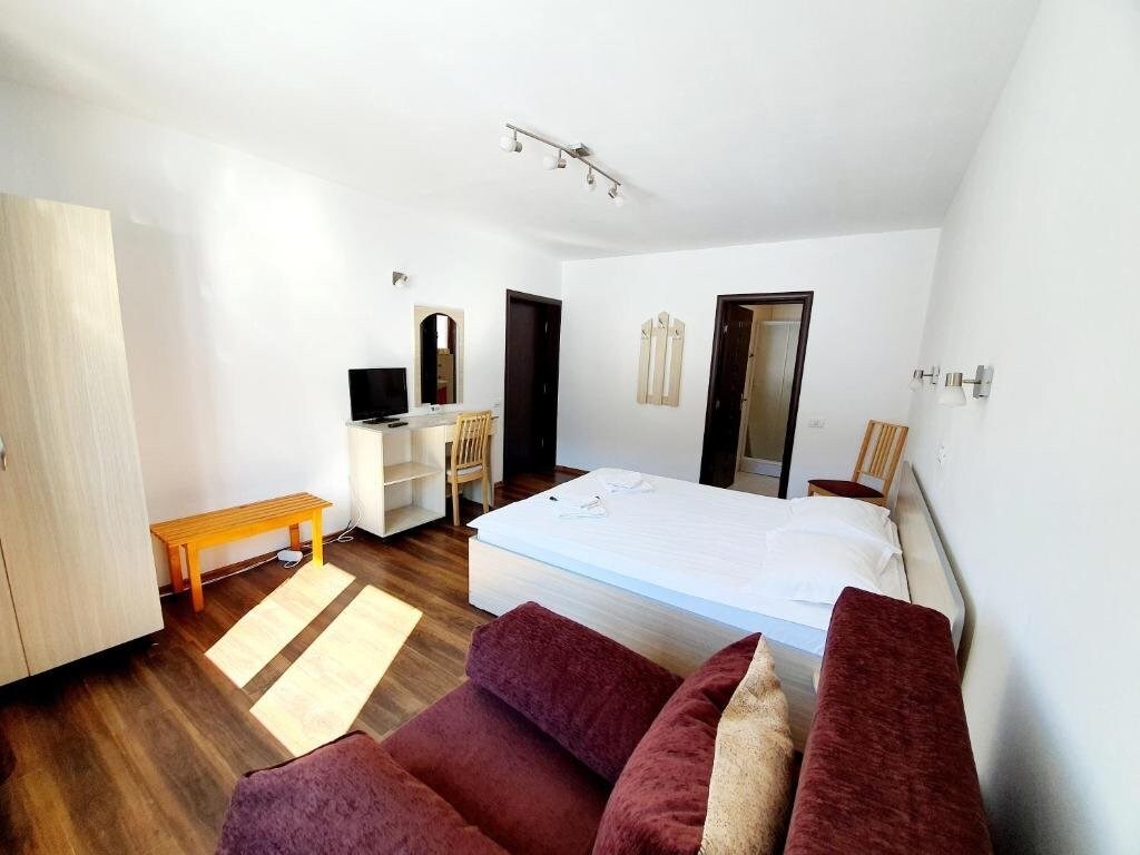 Vila de vacanta Alma Azuga - 9