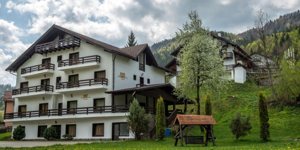 Vila Ana - Complex Cheile Gradistei - 716