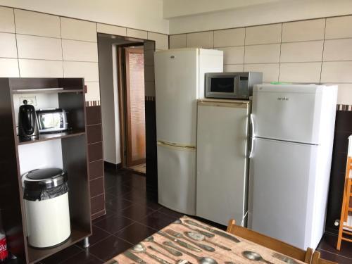 Vila Andreea - 790