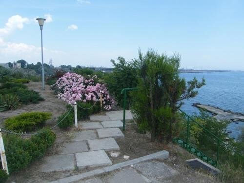 Vila Andreea - 810