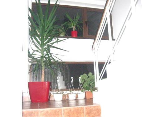 Vila Andreea - 812