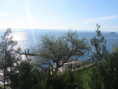 Vila Andreea - 134