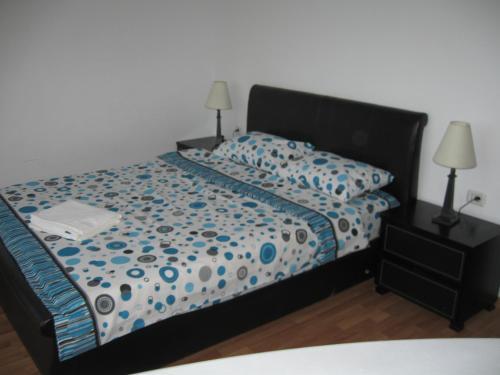 Vila Andreea - 104