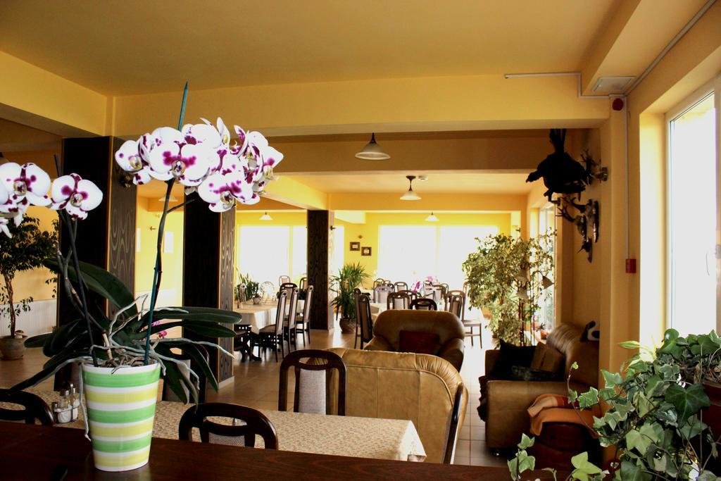 Vila Carlos - 437