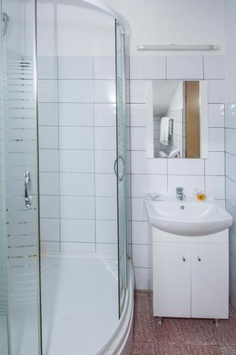Vila Condor Sinaia - 528