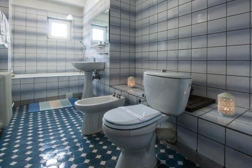 Vila Condor Sinaia - 430